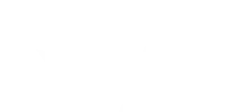Logo Firebird