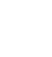 HUSTLE COLLECTION