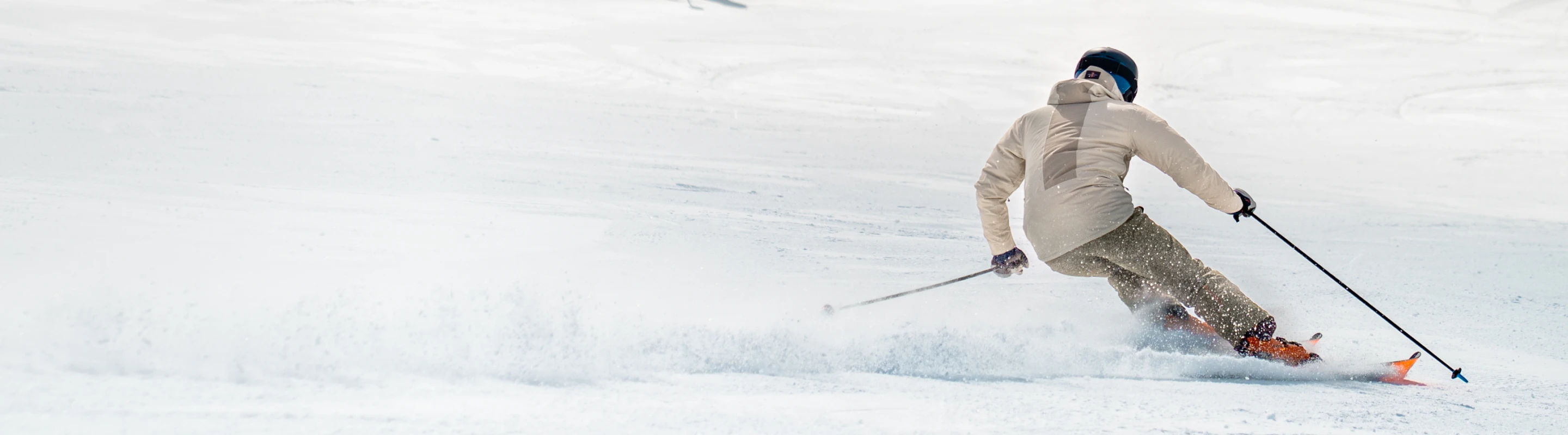 Thunderbird Plus Experience