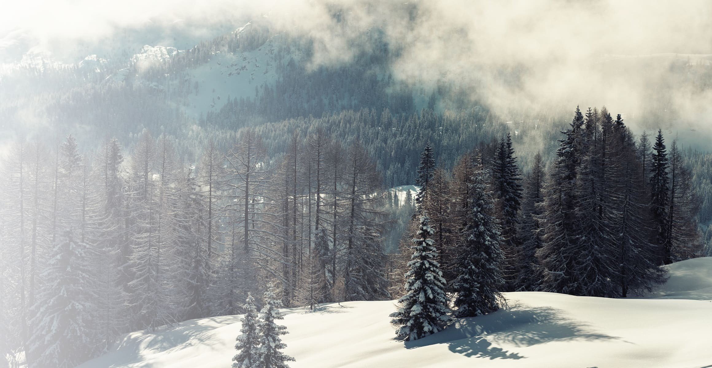 No Stop Podium collection