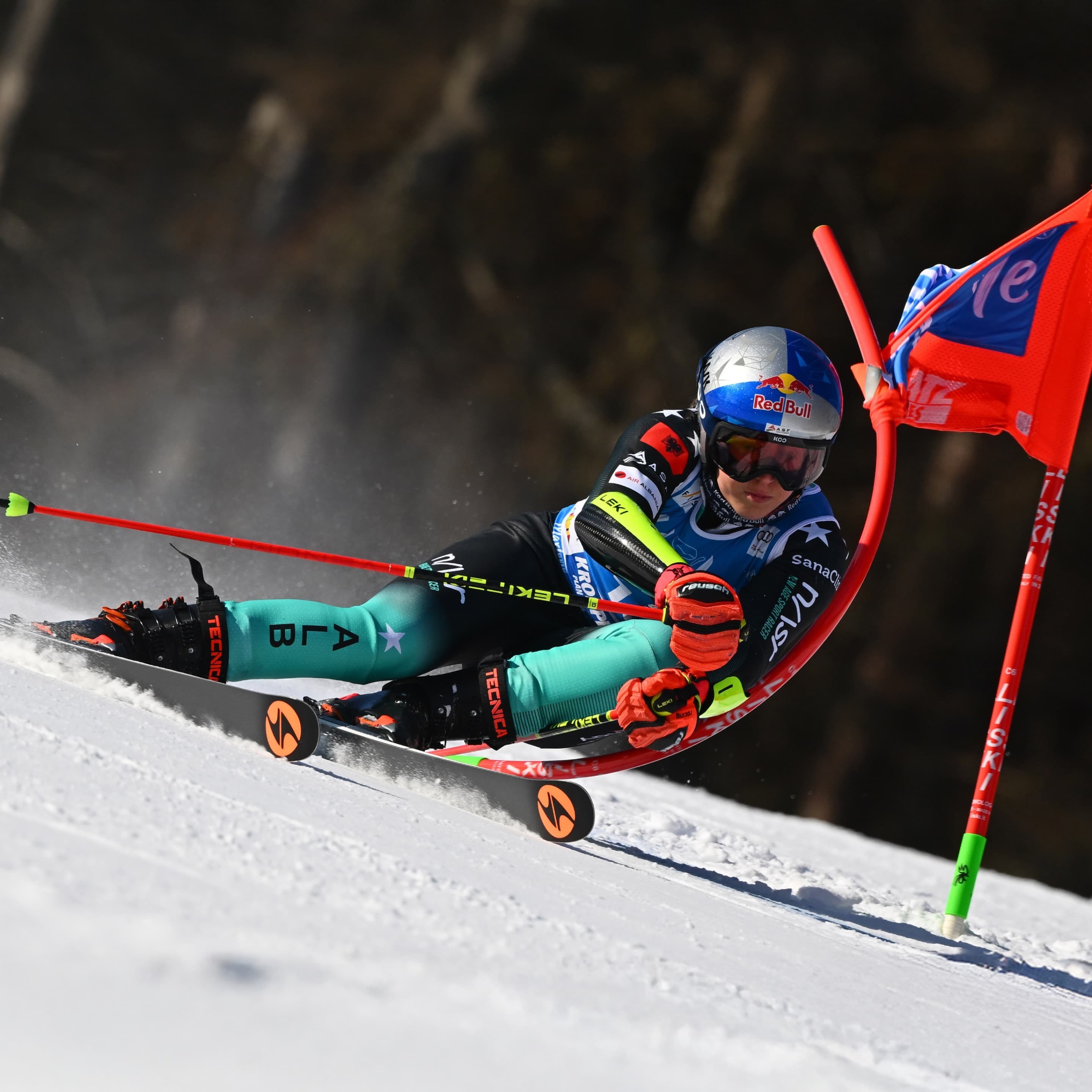 Firebird Ski Boots showcase