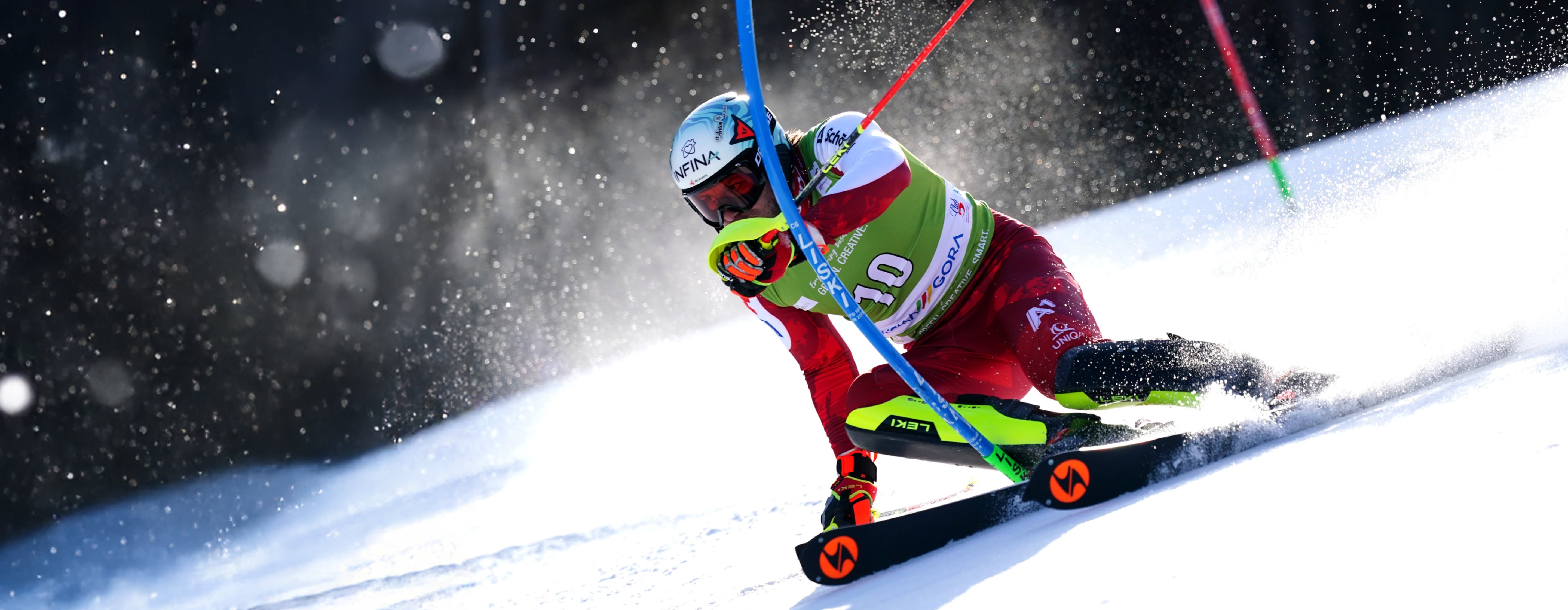 Firebird Ski Boots collection